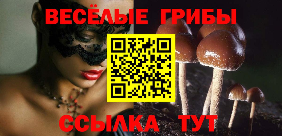 Псилоцибиновые грибы MAGIC MUSHROOMS Владивосток
