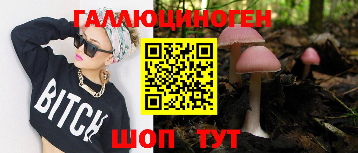Псилоцибиновые грибы MAGIC MUSHROOMS  даркнет сайт  Владивосток  Псилоцибиновые грибы мухоморы  Вход с VPN 
